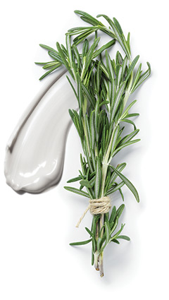 herb and cream image